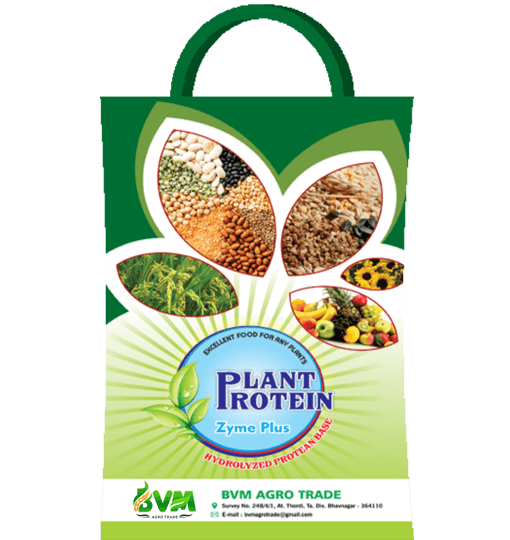 Bvm Plant Protein